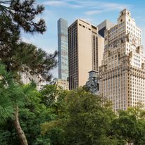The Ritz-Carlton New York, Central Park