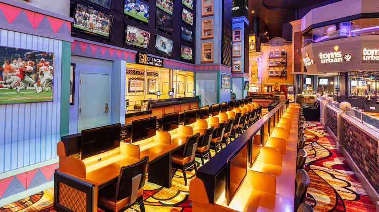 New York-New York Hotel & Casino Recreation