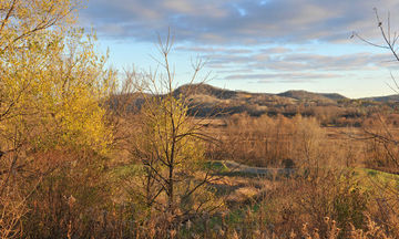 Stoney Creek Hotel & Conference Center