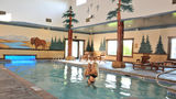 Stoney Creek Hotel St Joseph Recreation