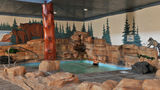 Stoney Creek Hotel St Joseph Recreation