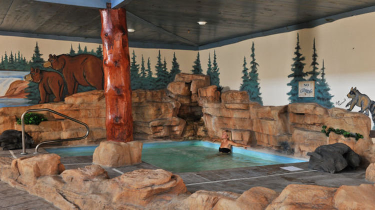 Stoney Creek Hotel St Joseph Recreation