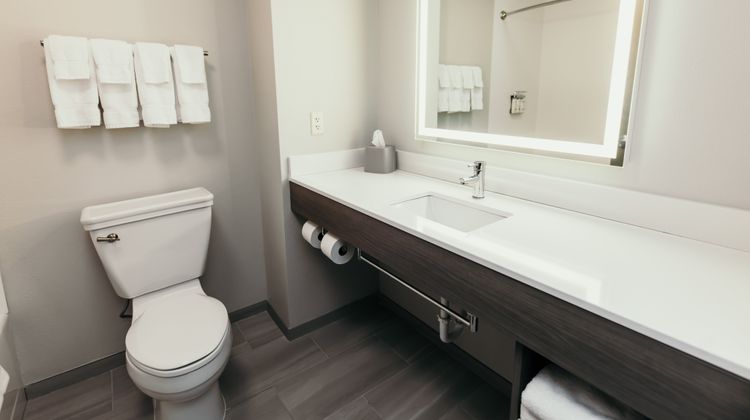 Holiday Inn Express and Suites Urbandale Room