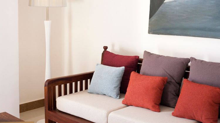 Turaco Spice Tree Suite