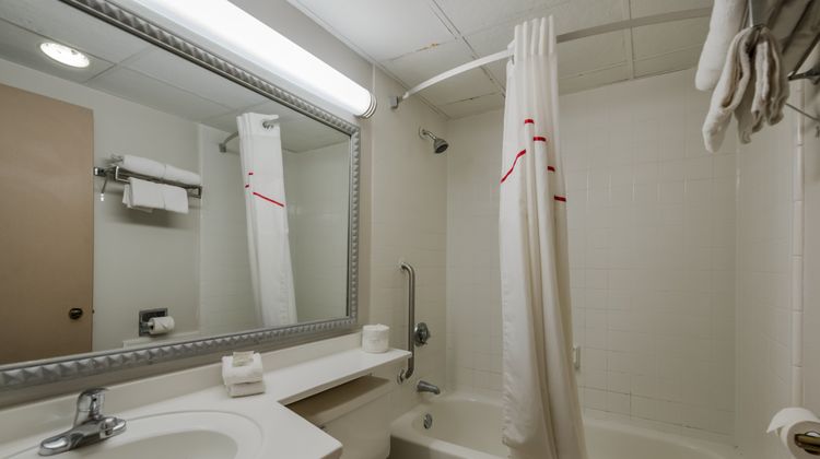 Red Roof Inn & Suites Newark-University Room