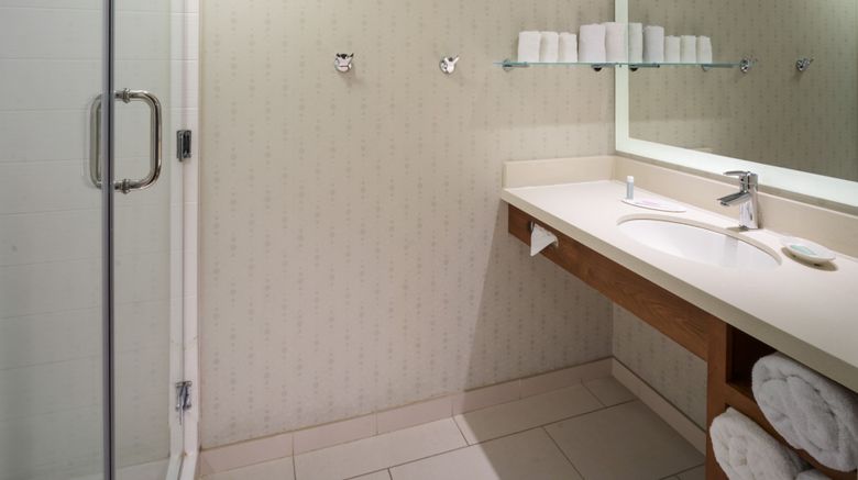 <b>SpringHill Suites PHL Airpt/Ridley Park Room</b>. Images powered by <a href="https://www.leonardoworldwide.com/" title="Leonardo Worldwide" target="_blank">Leonardo</a>.