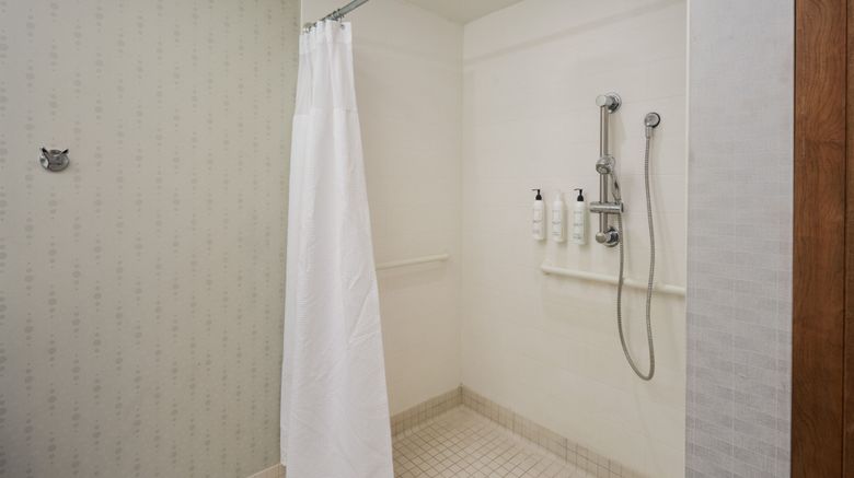 <b>SpringHill Suites PHL Airpt/Ridley Park Room</b>. Images powered by <a href="https://www.leonardoworldwide.com/" title="Leonardo Worldwide" target="_blank">Leonardo</a>.
