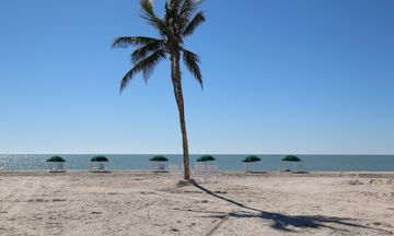 Island Inn Resort Hotel