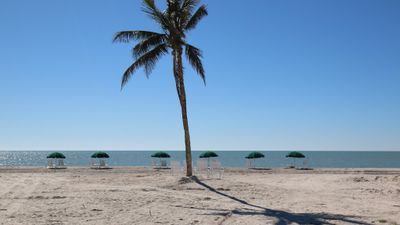 Island Inn Resort Hotel