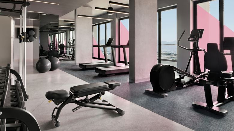 <b>Aloft Muscat Recreation</b>. Images powered by <a href="https://www.leonardoworldwide.com/" title="Leonardo Worldwide" target="_blank">Leonardo</a>.