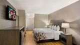 <b>Red Roof Inn Denver Room</b>. Images powered by <a href="https://www.leonardoworldwide.com/" title="Leonardo Worldwide" target="_blank">Leonardo</a>.