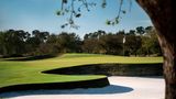 <b>The Ritz-Carlton Naples, Tiburon Golf</b>. Images powered by <a href="https://www.leonardoworldwide.com/" title="Leonardo Worldwide" target="_blank">Leonardo</a>.