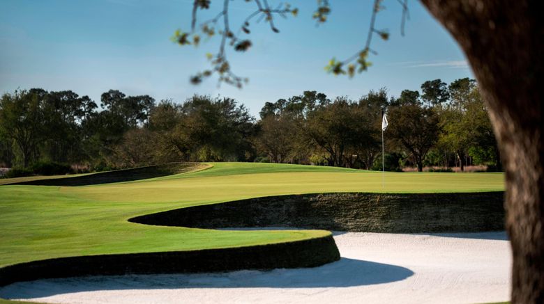 <b>The Ritz-Carlton Naples, Tiburon Golf</b>. Images powered by <a href="https://www.leonardoworldwide.com/" title="Leonardo Worldwide" target="_blank">Leonardo</a>.