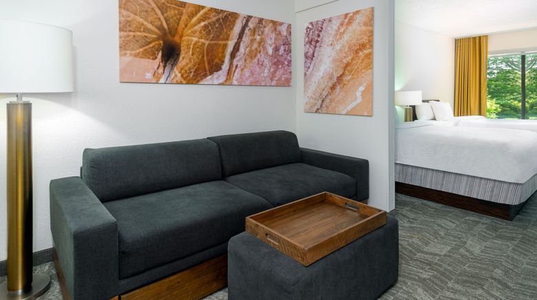 <b>SpringHill Suites by Marriott Asheville Suite</b>. Images powered by <a href="https://www.leonardoworldwide.com/" title="Leonardo Worldwide" target="_blank">Leonardo</a>.