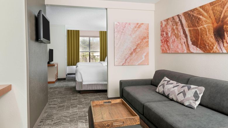 <b>SpringHill Suites by Marriott Asheville Room</b>. Images powered by <a href="https://www.leonardoworldwide.com/" title="Leonardo Worldwide" target="_blank">Leonardo</a>.