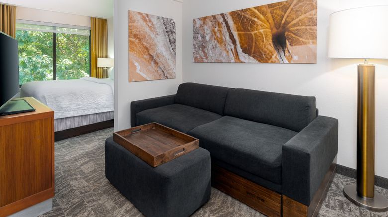 <b>SpringHill Suites by Marriott Asheville Suite</b>. Images powered by <a href="https://www.leonardoworldwide.com/" title="Leonardo Worldwide" target="_blank">Leonardo</a>.