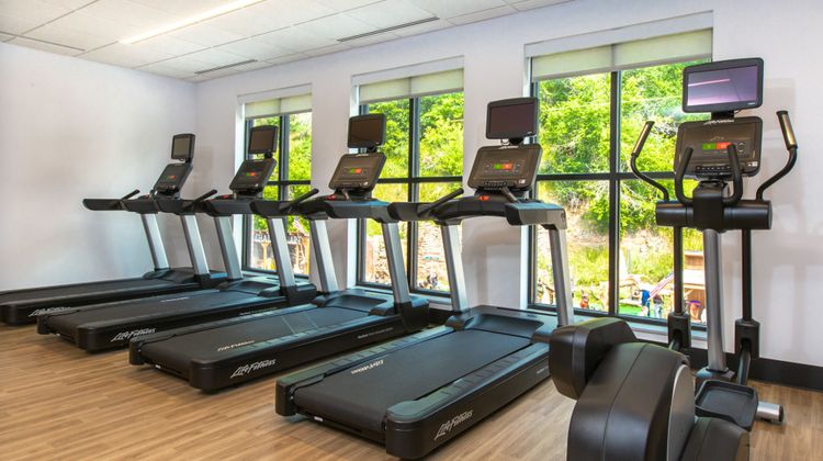 Four Points by Sheraton Deadwood Recreation