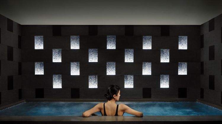 The Ritz-Carlton, Millenia Singapore Recreation