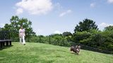 <b>Izu Marriott Hotel Shuzenji Other</b>. Images powered by <a href="https://www.leonardoworldwide.com/" title="Leonardo Worldwide" target="_blank">Leonardo</a>.