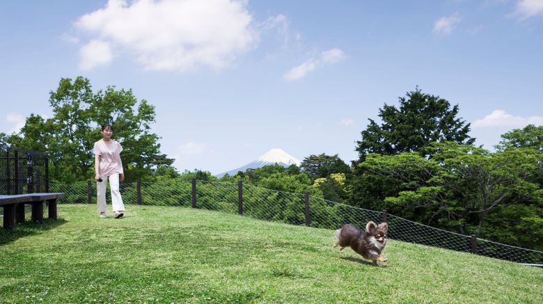 <b>Izu Marriott Hotel Shuzenji Other</b>. Images powered by <a href="https://www.leonardoworldwide.com/" title="Leonardo Worldwide" target="_blank">Leonardo</a>.