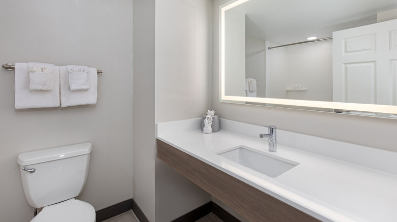 <b>Holiday Inn Express Hotel & Suites Room</b>. Images powered by <a href="https://www.leonardoworldwide.com/" title="Leonardo Worldwide" target="_blank">Leonardo</a>.