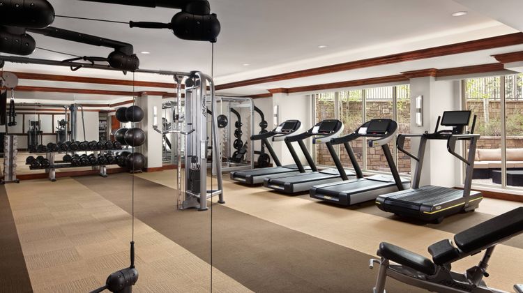 The Ritz-Carlton Club Vail Recreation