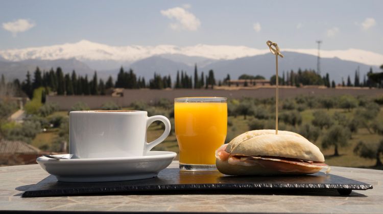 Hotel Porcel Alixares Restaurant