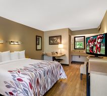 Red Roof Inn Asheville - Biltmore West Room