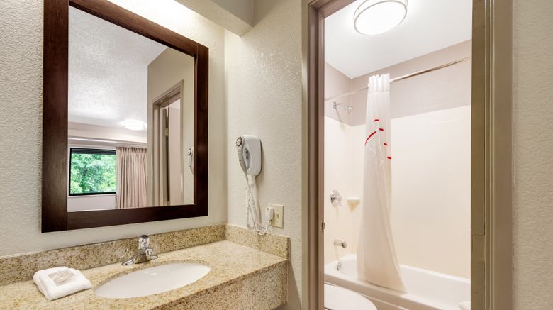 <b>Red Roof Inn Asheville - Biltmore West Room</b>. Images powered by <a href="https://www.leonardoworldwide.com/" title="Leonardo Worldwide" target="_blank">Leonardo</a>.