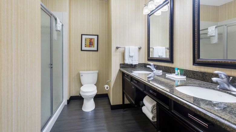 <b>Holiday Inn Waco Northwest Room</b>. Images powered by <a href="https://www.leonardoworldwide.com/" title="Leonardo Worldwide" target="_blank">Leonardo</a>.