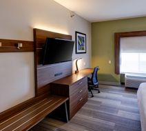 Holiday Inn Express Hotel & Suites Room