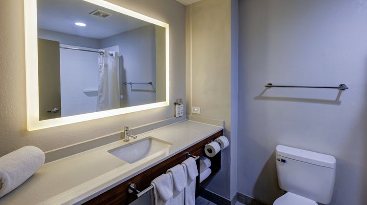 Holiday Inn Express Hotel & Suites Room