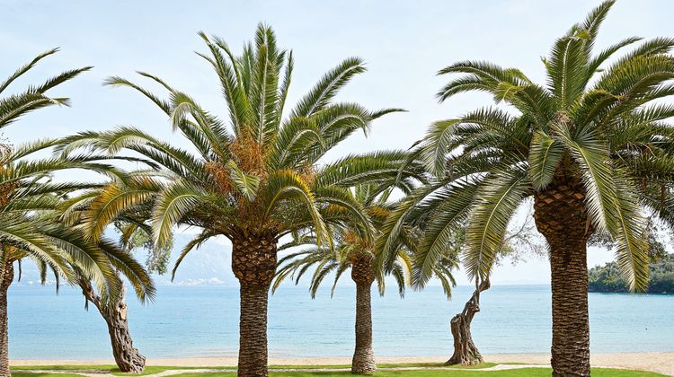Grecotel Daphnila Bay Thalasso Other