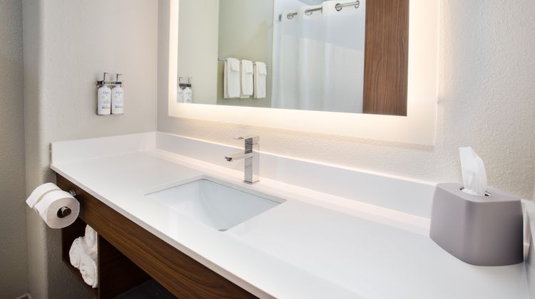 Holiday Inn Express Hotel & Suites Room