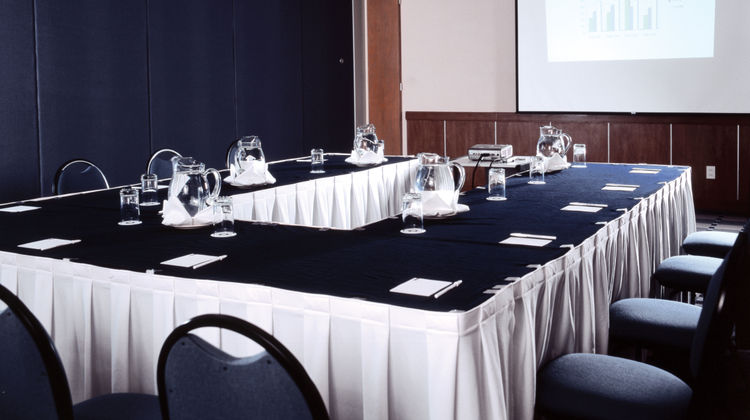 Fiesta Inn Toluca Centro Meeting