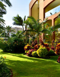 Pestana Promenade