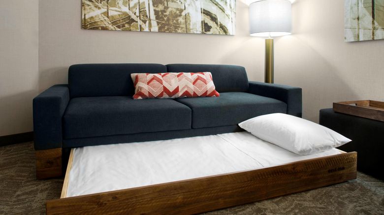 <b>SpringHill Suites Kansas City Lenexa Suite</b>. Images powered by <a href="https://www.leonardoworldwide.com/" title="Leonardo Worldwide" target="_blank">Leonardo</a>.