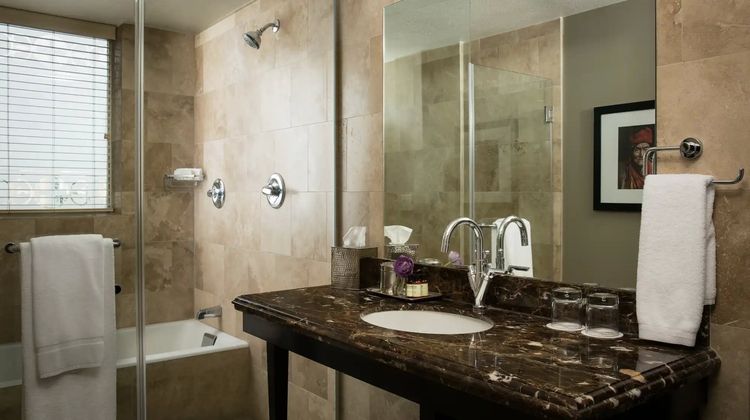 Hotel ZaZa Houston Museum District Room
