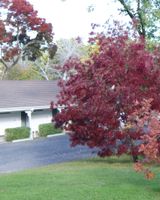 Moore Park Inn