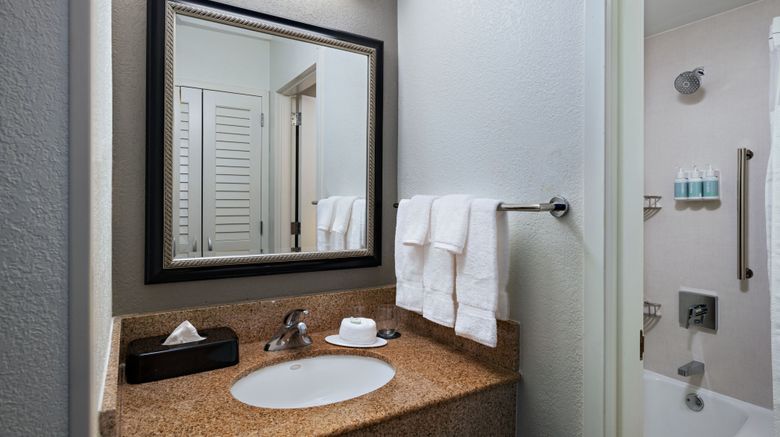 <b>Courtyard Dallas Arlington/Entertainment Room</b>. Images powered by <a href="https://www.leonardoworldwide.com/" title="Leonardo Worldwide" target="_blank">Leonardo</a>.