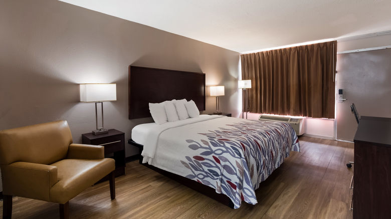 <b>Red Roof Inn Columbia, SC Airport Room</b>. Images powered by <a href="https://www.leonardoworldwide.com/" title="Leonardo Worldwide" target="_blank">Leonardo</a>.