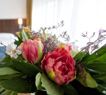 Hotel Petit Nord Hoorn Room