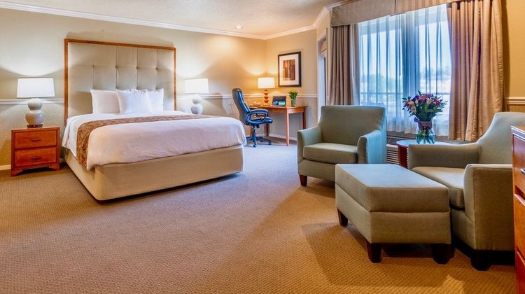 Century Hotel Room