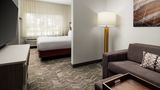SpringHill Suites by Marriot Suite