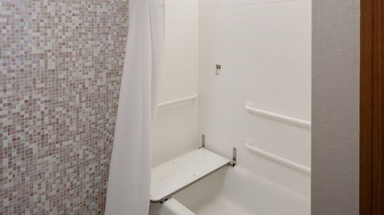 <b>SpringHill Suites Detroit Metro Airport Room</b>. Images powered by <a href="https://www.leonardoworldwide.com/" title="Leonardo Worldwide" target="_blank">Leonardo</a>.