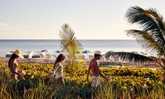 Eau Palm Beach Resort & Spa - Hotel Review