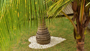 Pestana Sao Tome Ocean & Spa Hotel