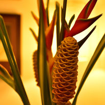 Pestana Sao Tome Ocean & Spa Hotel
