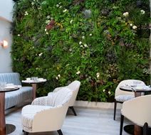 Hotel Dress Code Exterior