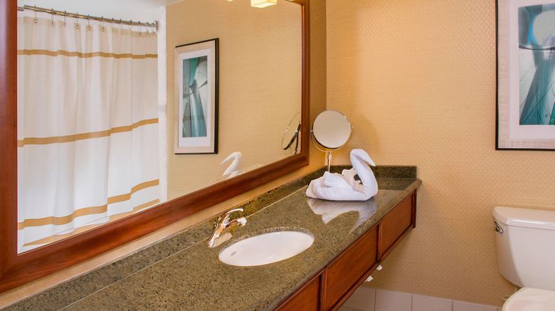 <b>BWI Airport Marriott Room</b>. Images powered by <a href="https://www.leonardoworldwide.com/" title="Leonardo Worldwide" target="_blank">Leonardo</a>.